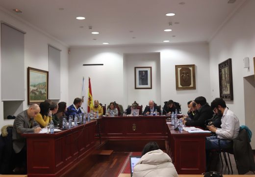 O Pleno de Noia aproba por unanimidade as mocións dos grupos da oposición sobre desfibriladores, seguridade viaria e SAF